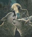 Wolf Song Material Pack
