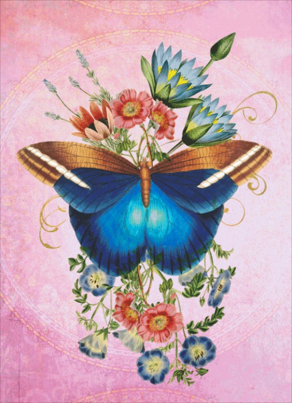 Butterfly Pink JDG - Click Image to Close