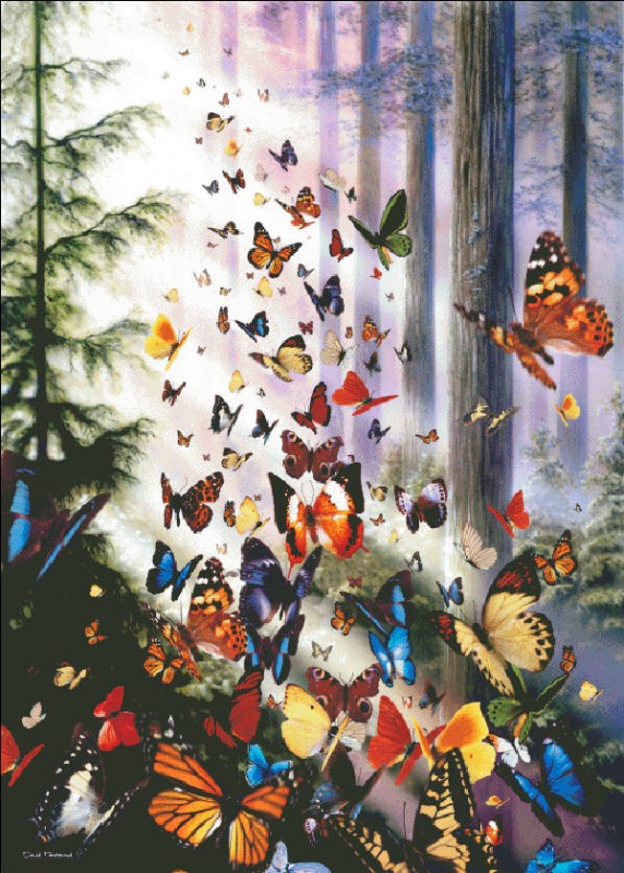 Butterfly Woods Max Colors - Click Image to Close