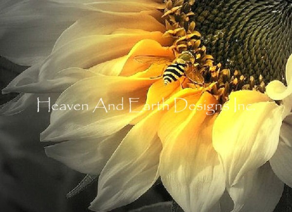 Sunflower Bee Max Colors