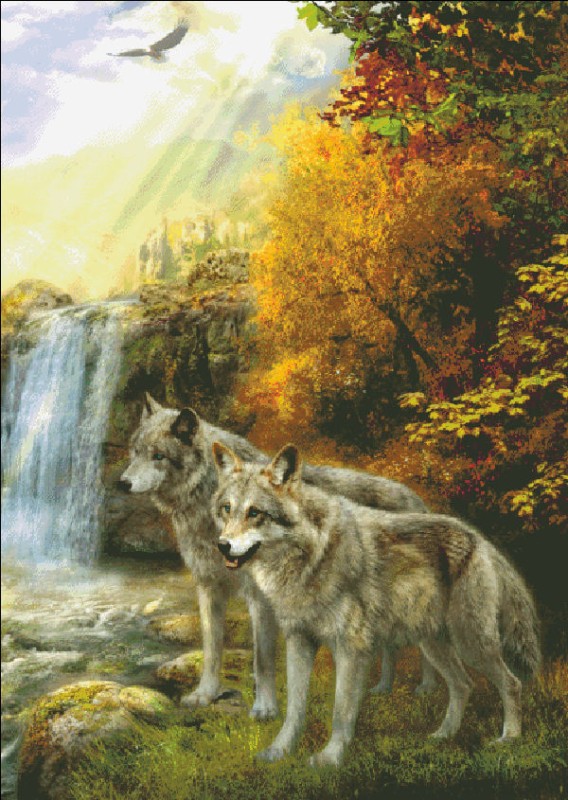 Wolf Falls - Click Image to Close