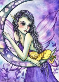 Diamond Painting Canvas - QS Kitty Moon Fairy