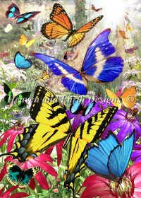 Tropical Butterfly Material Pack