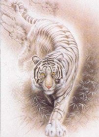 Oriental Tiger Tapestry