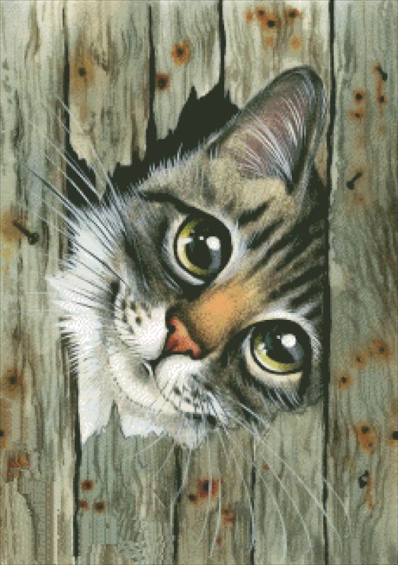 Diamond Painting Canvas - Mini Hole In The Fence - Click Image to Close