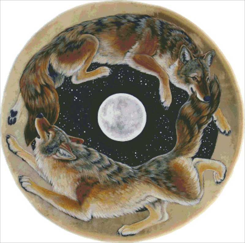 Diamond Painting Canvas - Warped Coyote Dance - Click Image to Close