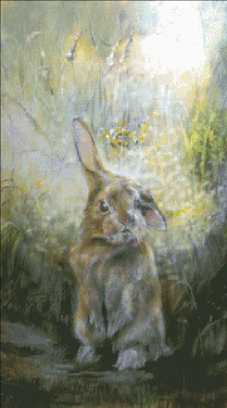 Mini Baby Rabbit - Click Image to Close