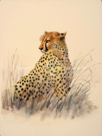 Mini Cheetah