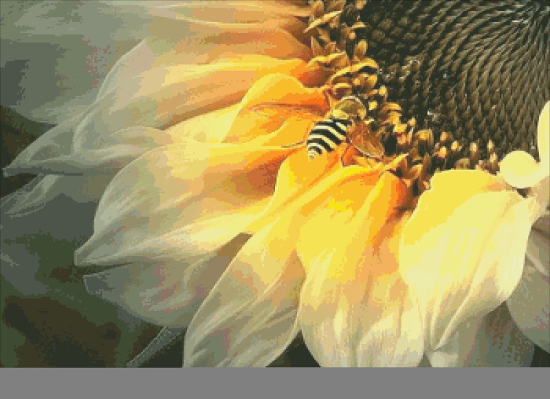 Beautiful Sunflower And Bee Diamond Painting 