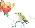 Hummingbird JL NO BK