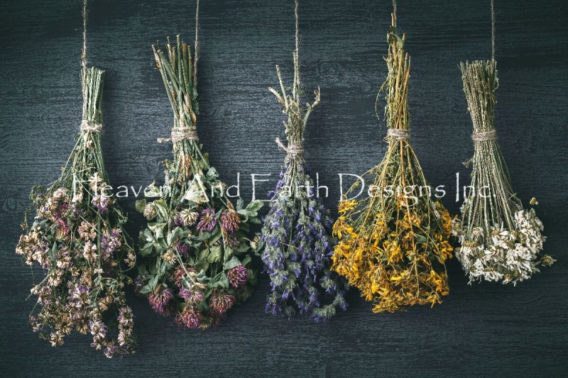 Hanging Bunches Of Medicinal Herb - Click Image to Close