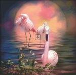 Where Wild Flamingo Grow Max Colors