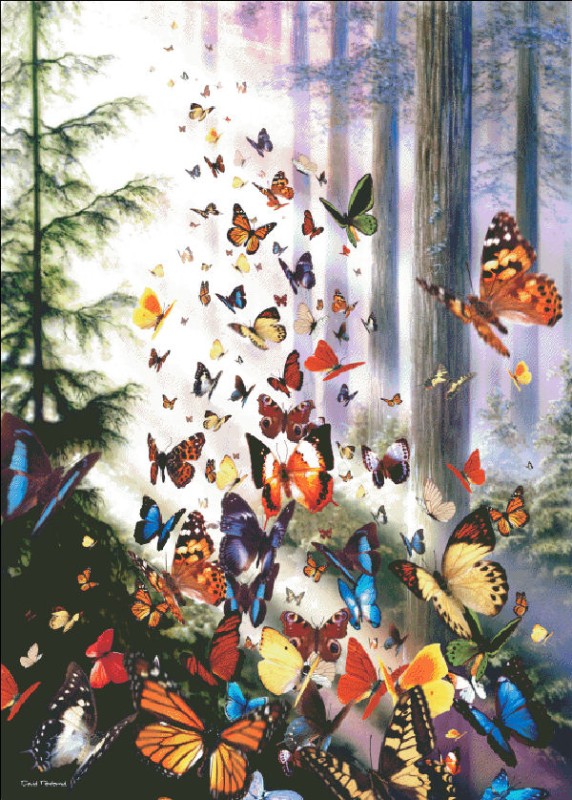 Butterfly Woods Color Expansion - Click Image to Close