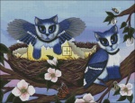 Blue Jay Kittens
