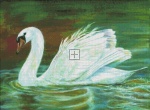 Swan PG