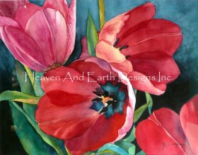 3 Red Tulips