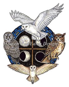 Owl Spirit Shield