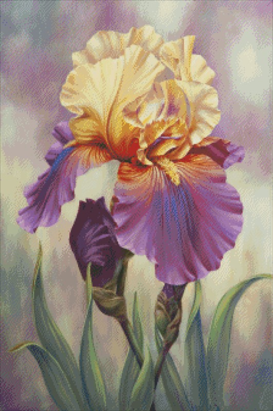 Diamond Painting Canvas - Mini Proud Iris - Click Image to Close