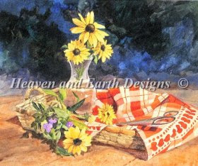 Daisys and Checkered Cloth
