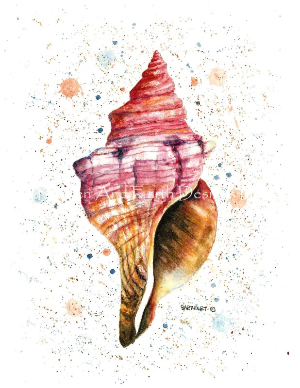 Sea Shell - Click Image to Close