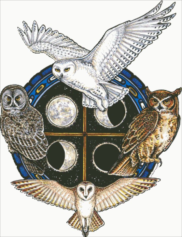 Diamond Painting Canvas - Owl Spirit Shield - Click Image to Close