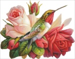 Mini Hummingbirds In Roses NO BK