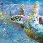 Sea Turtle Spirit Of Serendipity Max Colors