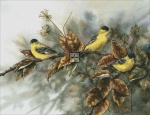 Gold Finches Material Pack