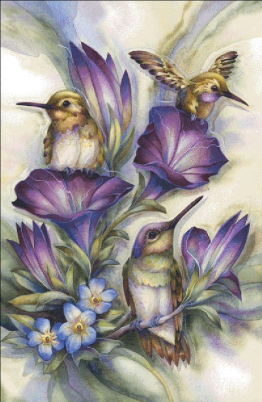 Flower Hummingbirds - Click Image to Close