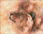 Beautiful Lion In Dream