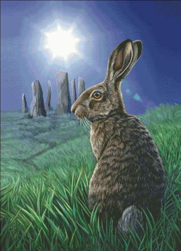 Moon Hare LP - Click Image to Close