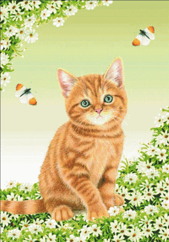 Meow Meow - Click Image to Close