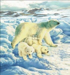 Polar Bear With Babies