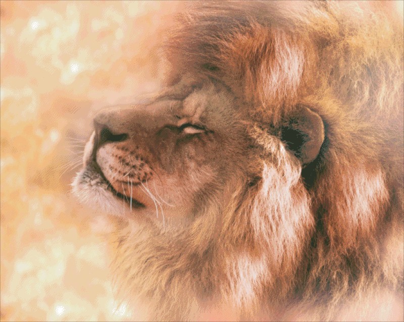 Diamond Painting Canvas - Beautiful Lion In Dream - Click Image to Close