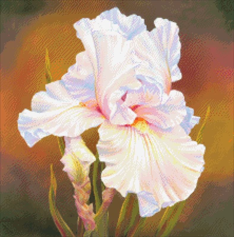 Diamond Painting Canvas - Mini White Iris - Click Image to Close