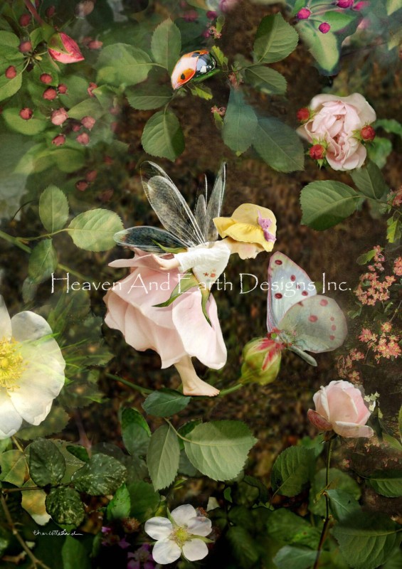 The Rose Fairy CB - Click Image to Close