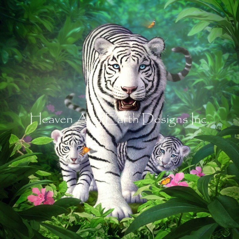 White Tigers - Click Image to Close