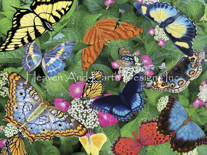 Bountiful Butterflies - Click Image to Close