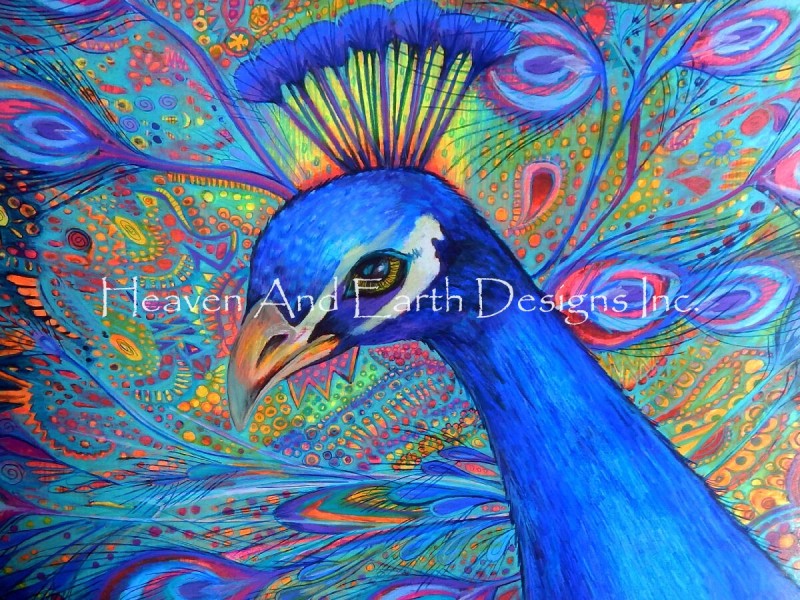 Mini Peacock Plumage - Click Image to Close