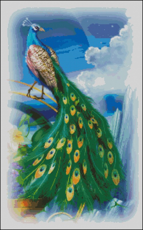 QS Peacock - Click Image to Close