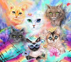 Crazy Cat Lover Material Pack