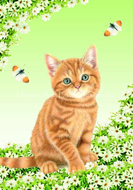 Meow Meow - Click Image to Close