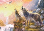 Sunset Howling Wolves