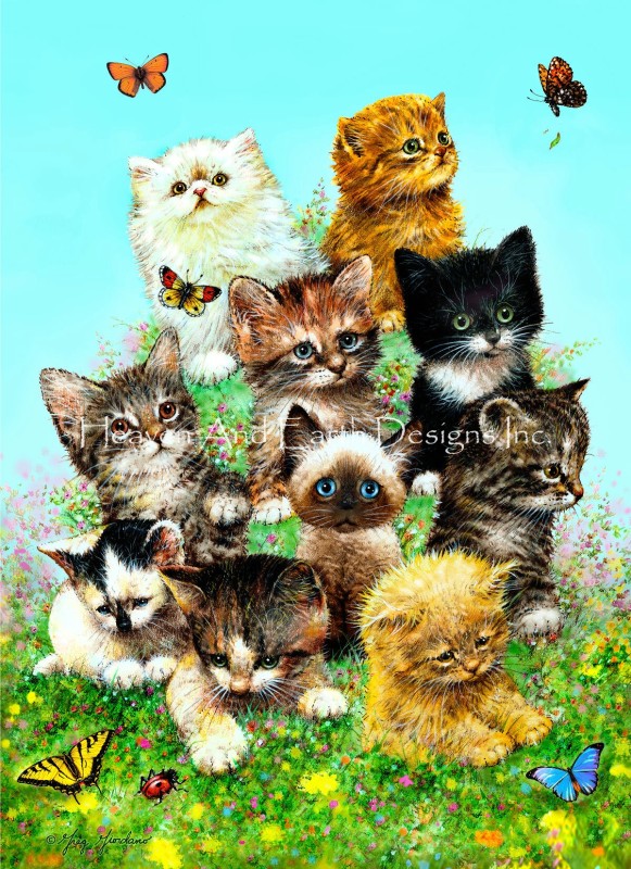 11 Kittens - Click Image to Close