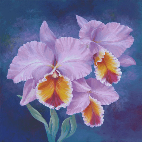 Cattleya - Click Image to Close