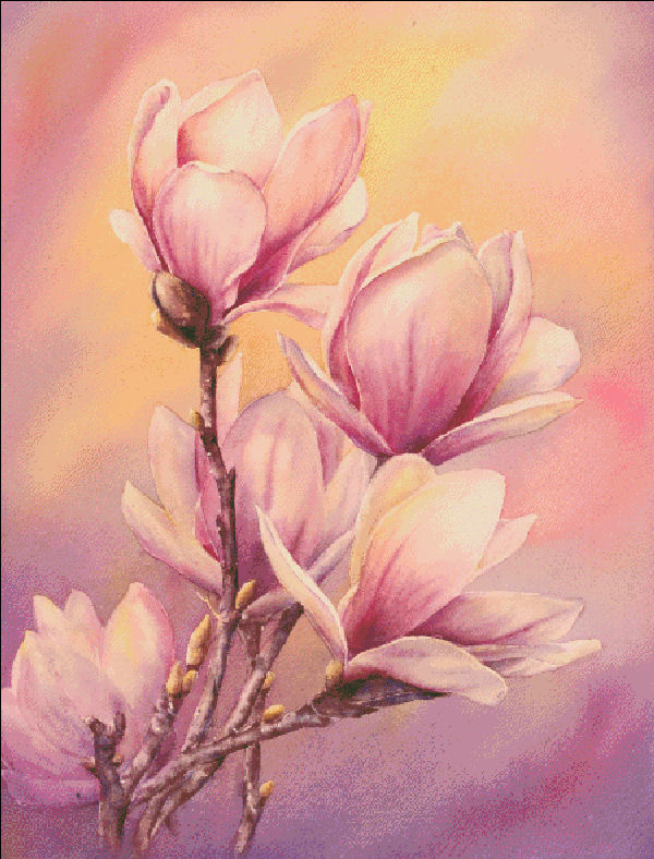 Magnolias - Click Image to Close